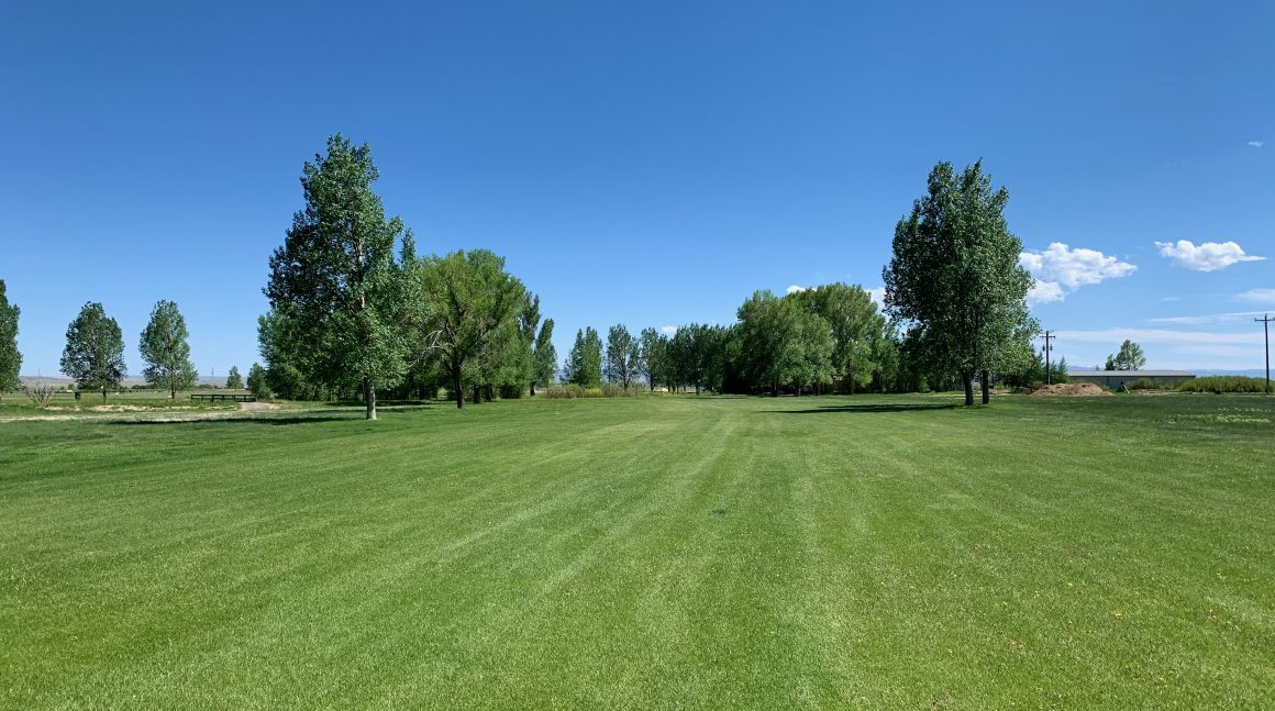Golf course green